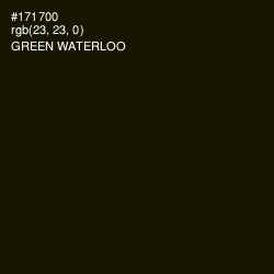 #171700 - Green Waterloo Color Image